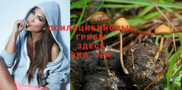 синтетический гашиш Армянск