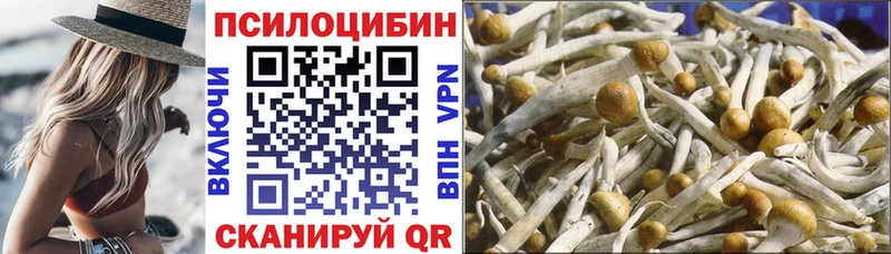дарк нет какой сайт  kraken зеркало  Елабуга  Псилоцибиновые грибы Psilocybe 